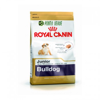 ROYAL CANIN BULLDOG JUNIOR INGLESE KG 3